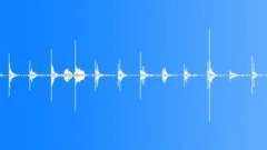 Walking indoor on wooder floor loopSound Effect