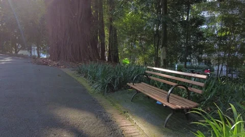 Walking inside of Buenos Aires pblic park Stock Footage 156833343