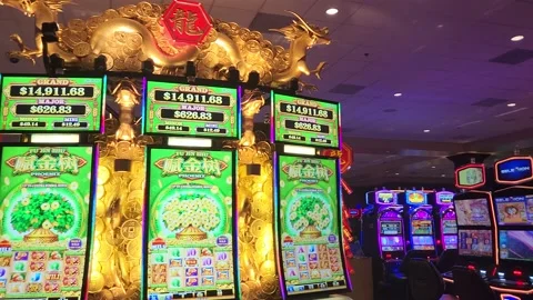 Walking Inside of Casino Machine Machine Casino Game Gambling Vidéo 229427441