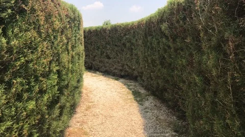 Walking inside a Maze Garden. Stock Footage 110984530