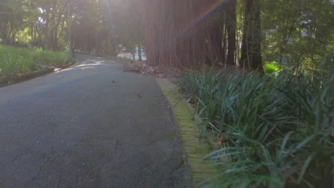 Walking inside of public park Stock Footage 158862796