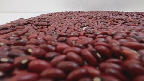 Walking inside raw red beans. Close up, detail, pov, selective focus. Stock Footage 128845243
