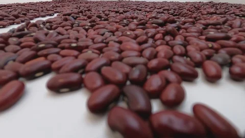 Walking inside raw red beans. Close up, detail, pov, selective focus. Stock Footage 128845293