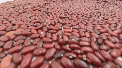 Walking inside raw red beans. Close up, detail, pov, selective focus. Stock Footage 128845375