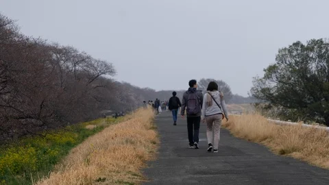 Walking In A Japanese Park Stock Footage 106875377