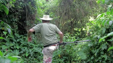 Walking in the Jungle Stock Footage 9286996