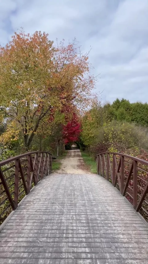 Walking on Kissing Bridge Trail Vídeo Stock 323740573