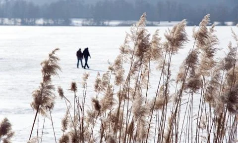 Walking on the lake Stock Photos