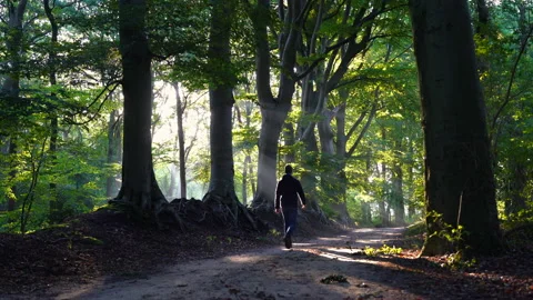 Walking in a lane Stock Footage 217689915
