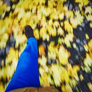 Walking on leaves Foto stock