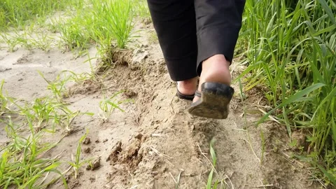 Walking Leg Shot Stock Footage 170509156