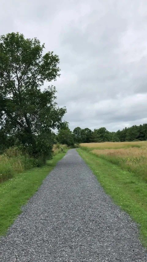 Walking in Lemoine Point Conservation Area Vídeo Stock 323396704