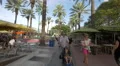 Walking in Lincoln Road Mall, Miami Beach, Florida 4k or 4k+ Resolution