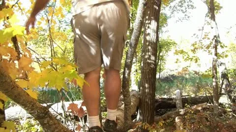 Walking on Log in Fall Video stock 12616029