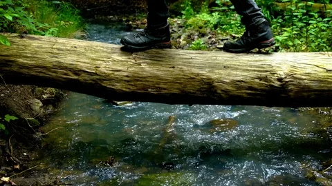 Walking on a log over a stream 4K .Slow motion Stock Footage 109135513