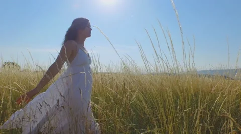 Walking in the long grass Stock Footage 51330690