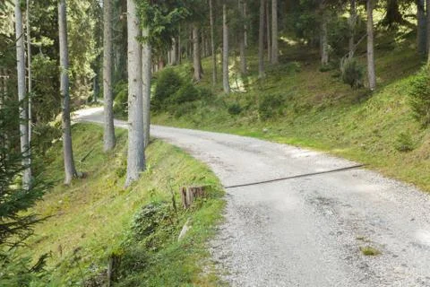 Walking long a mountain road inside the woods Stock Photos
