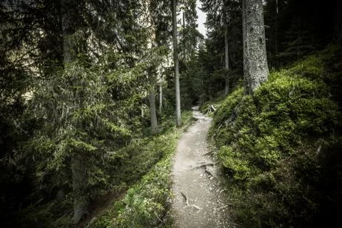 Walking long a peaceful mountain path in Valle di Funes into the Italian Dolo Foto stock