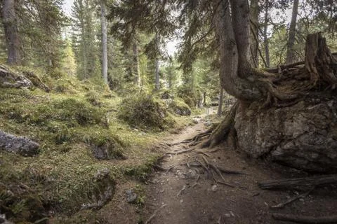 Walking long a peaceful mountain path in Valle di Funes into the Italian Dolo Stock Photos