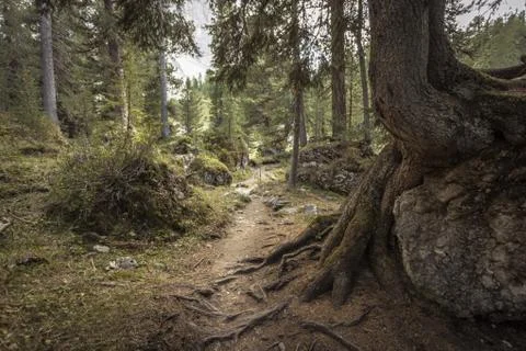 Walking long a peaceful mountain path in Valle di Funes into the Italian Dolo Foto stock