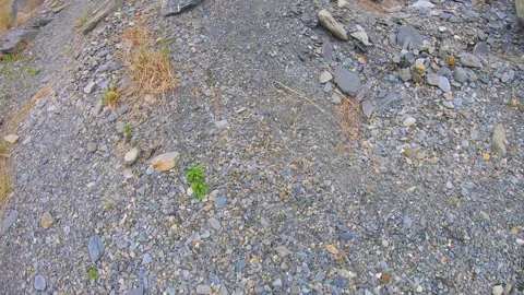 Walking look down around to pile of colorful gravel stone boulder rocks with bri Stock Footage 266502670