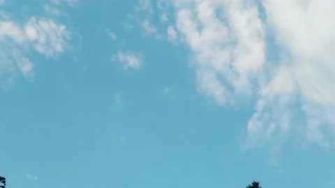 Walking looking up sky trees 動画素材 130357175