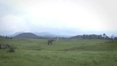 Walking mammoth Vídeo Stock 125170522