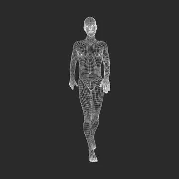 Walking Man. 3D Human Body Model. Geometric Design. Human Body Wire Model. Illustrazione stock