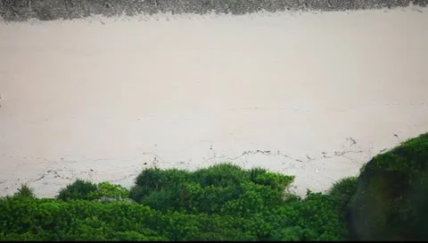 Walking man beach Stock Footage 11088958