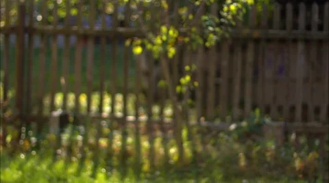 Walking man Stock Footage 46991585