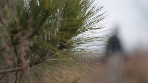 Walking man 動画素材 104976189