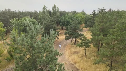 Walking man nature Stock Footage 240767068