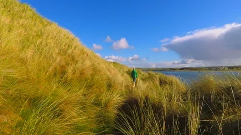 Walking in the Maram Grass Dunes Stock Footage 96710068