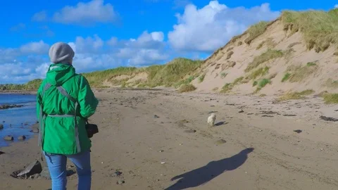 Walking in the Maram Grass Dunes Stock Footage 96712596
