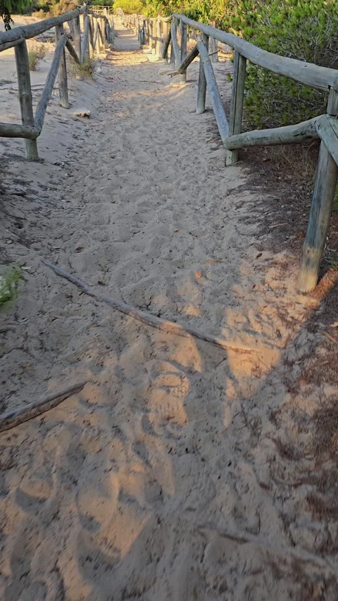 Walking on a marked trail through dunes with wooden fences on both sides ca.. Stock Footage 318063230