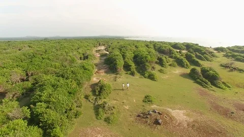 Walking into a Maze Forest Video stock 122846374