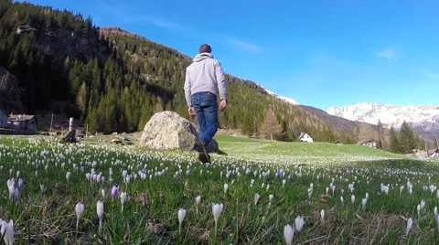 Walking in the meadow Stock Footage 67665480