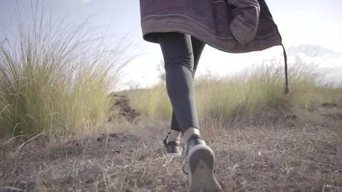 Walking in the meadow Stock Footage 271140394