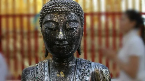 Walking meditation Stock Footage 1089245