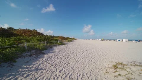Walking to Miami Beach 2 스톡 동영상 288229548