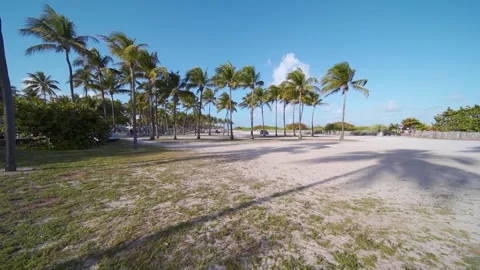 Walking To Miami Beach with palms Stock Footage 248525962