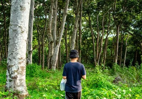 Walking in the middle of the fields Stock Photos