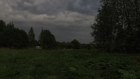Walking in the middle of the grass Stock Footage 316951899