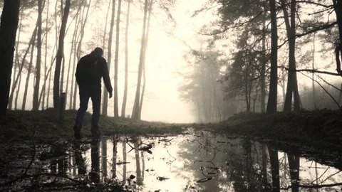Walking in Misty Forest Reflected in Puddle Stock Footage 340538641