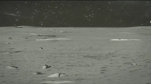 Walking on the moon Video stock 32269384