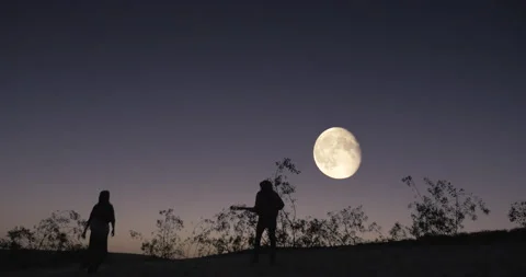 Walking in to moon night Stock Footage 131022238