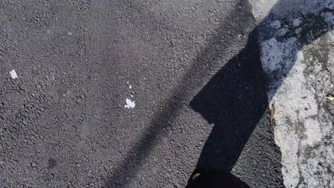 Walking in the Morning using Slipper Vidéo 226322241