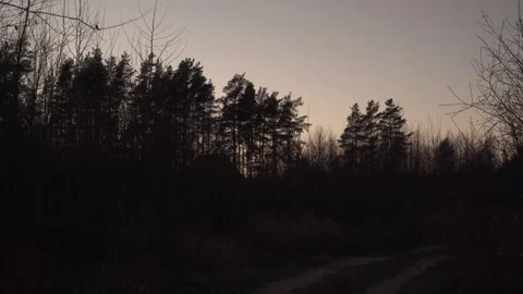 A walking motion in a scary wooded environment at night. Stock Footage 237780342