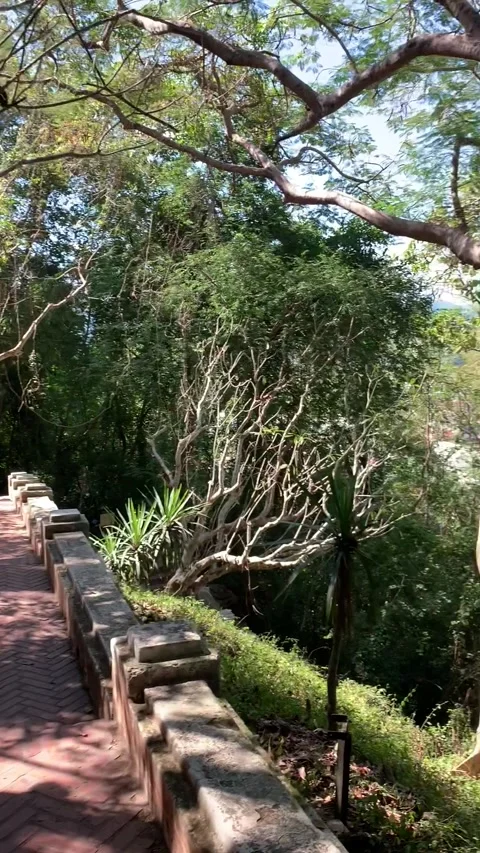 Walking at Mount Phu Si in Luang Prabang Stock-Footage 343277900