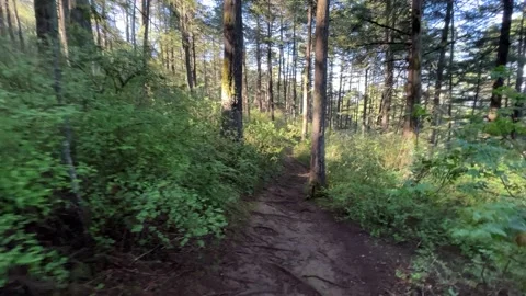 Walking in the mountain. Stock Footage 205000972